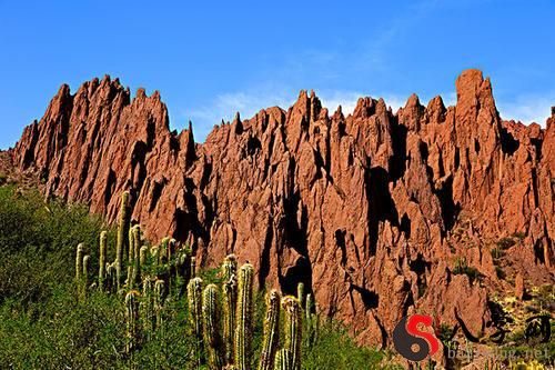 梦见准备去旅游